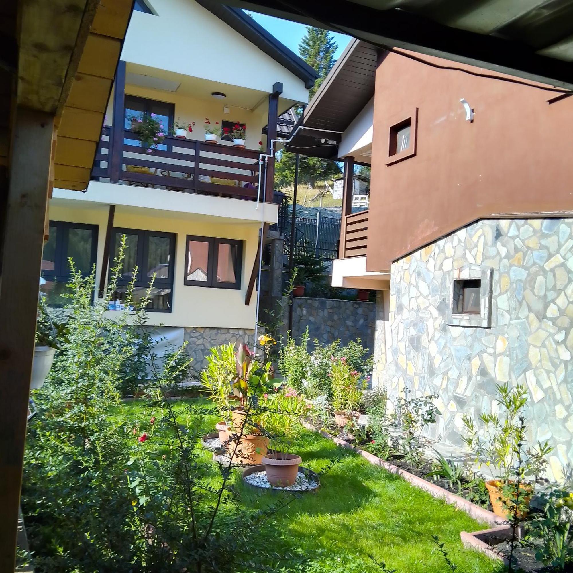 Casa Nicolas Буштени Экстерьер фото